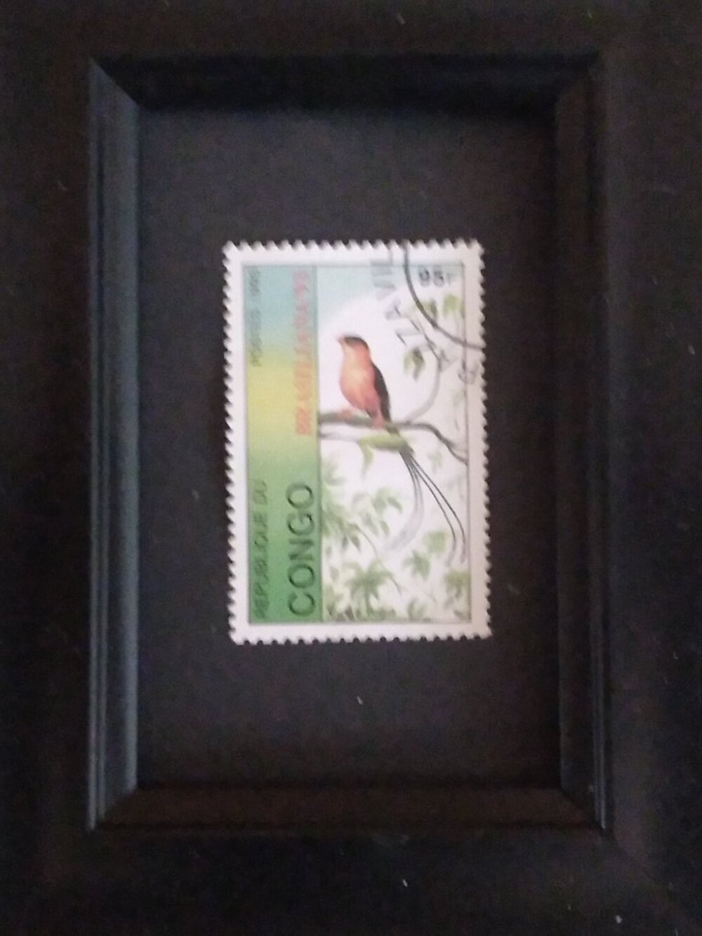 Framed Collectible International Postage Stamp - Exotic Bird